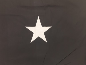 Space Force Brigadier General Flag