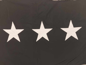 Space Force Lieutenant General Flag Space Force Lieutenant General Flag