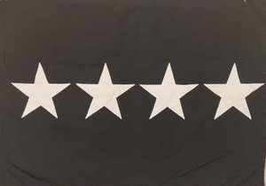 Space Force General Flag Space Force General Flag