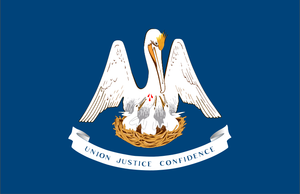 Louisiana State Flag
