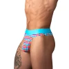 Male Power So Comfy Gingham Thong front view