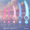 Five Passion kegel exercisers lined up from the smallest Step 1 to the largest Step 5.