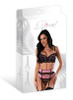 Exposed Sensual Desires Demi Bra, Gartered Cincher & Thong Set