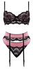 Exposed Sensual Desires Demi Bra, Gartered Cincher & Thong Set