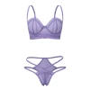 Exposed Sheer Passion Demi Bra & High Cut Tanga front view.