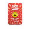 Flintts Mints Mouth Watering Mints - Cinnamon Ginger F Strength 300