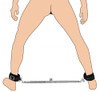 Master Series Squat Anal Impaler with Spreader Bar