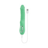 Evolved Full Throttle Rechargeable Vibrator