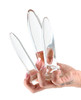 Crystal Glass Trainer Anal Plug Kit