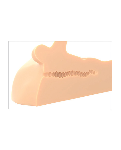 PDX Plus Perfect Ride