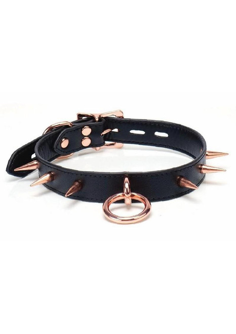 Punishment Spiked Choker