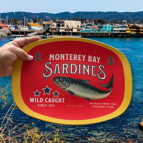 Monterey Bay Sardines Serving Platter - Oceancore Dinnerware - Coastal Housewarming Gift - Oceancore