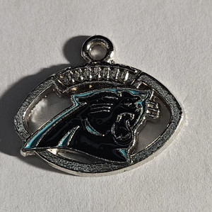 Carolina Panthers Football