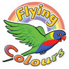 Flying Colours Blue (Levels 9-12)