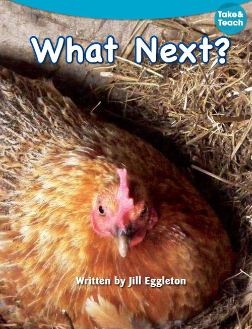 JillE Literacy Magenta Non-Fiction | What Next? Non-Fiction Set (8-Pack) - 9780176925741
