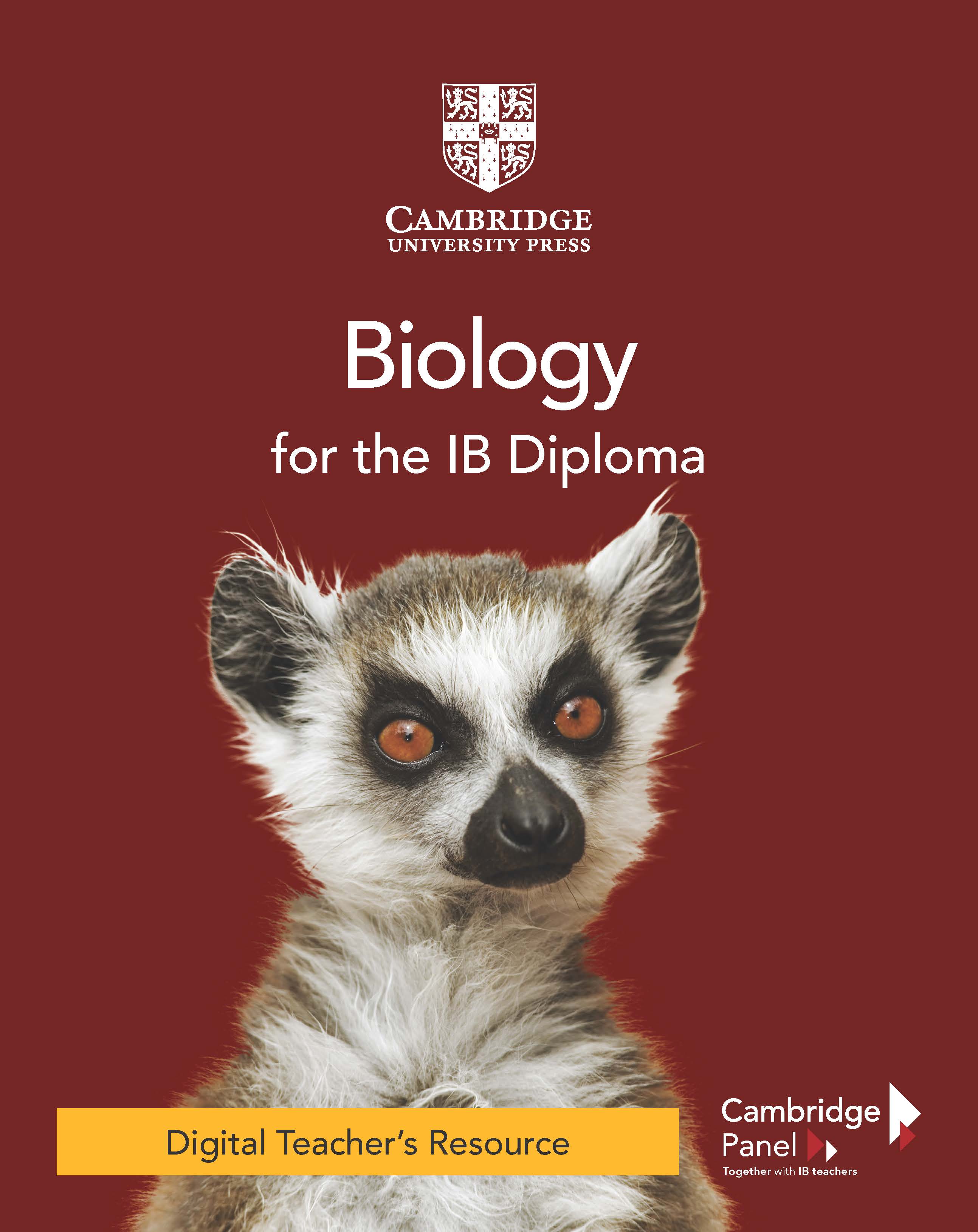 IB Carousel image