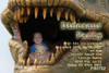 Dinosaur Fantasy Birthday Party Invitations