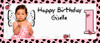 Personalised kids party banner with photo - pink ladybug design. Printed online in Australia