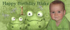 Party Banners - Green Frog Birthday Party Banner