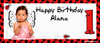 Party Banners - Ladybug Ladybird Birthday Banner