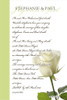 Single White Rose Wedding Invitation