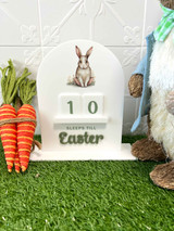 Countdown to the Easter Bunny Sign