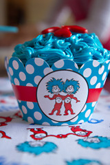 Cat in the Hat Birthday Party