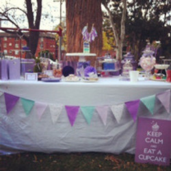 Purple and Aqua Birthday Party