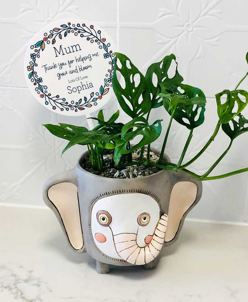 Personalised mothers day plant pot stick