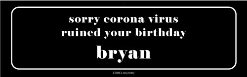 Corona Virus Ruined My Party Banner
