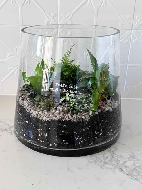 Add a Giggle to Your Garden with Our Fun Plant Markers!