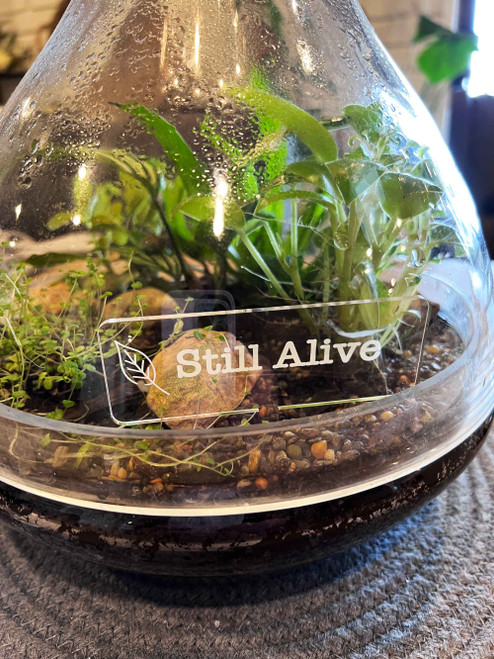 Bring Joy to Your Plants with Our Amusing Tags!