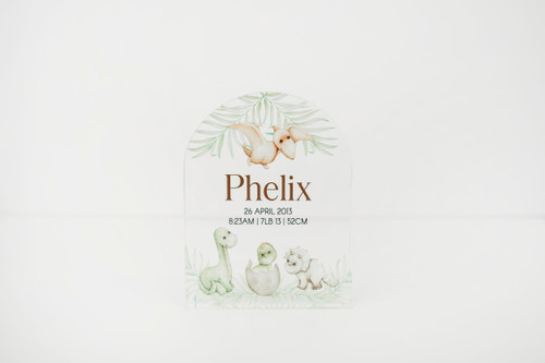 Baby Dinosaur Adventure - Personalised Acrylic Baby Dinosaur Adventure - Personalised Acrylic