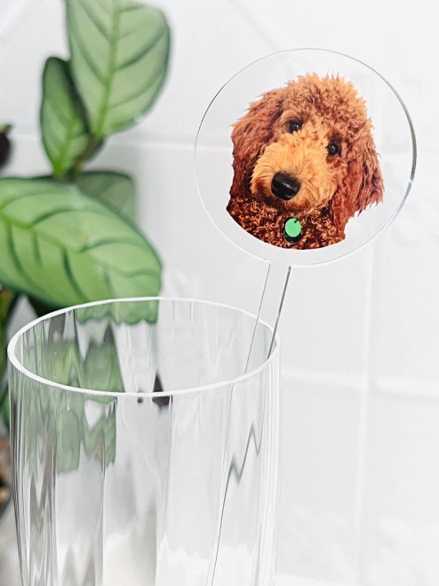 Double-sided pet drink charm
