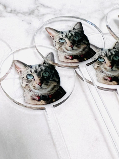 Cat swizzle stick with face