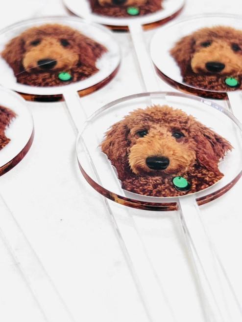 Dog drink stirrer custom acrylic