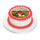 Vintage Toadstool Birthday Cake Icing